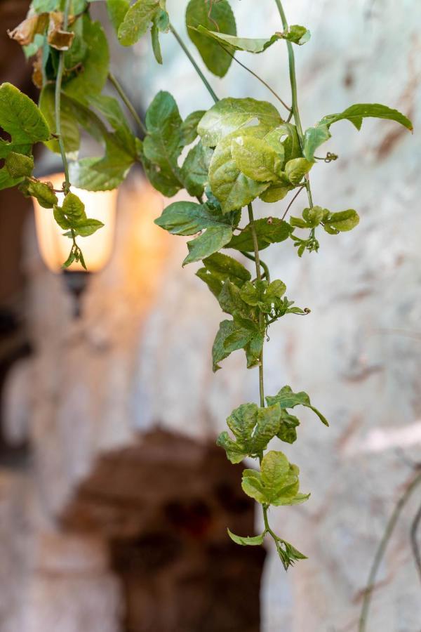 Galilee Sunset Tzimmers Safed Exterior foto